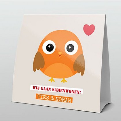 lief oranje vogeltje lief oranje vogeltje