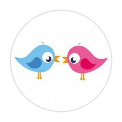 sluitzegel tweeling blauw en roze