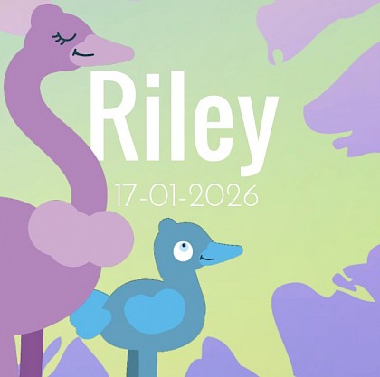 Gevouwen kaart met struisvogel Gevouwen kaart met struisvogel