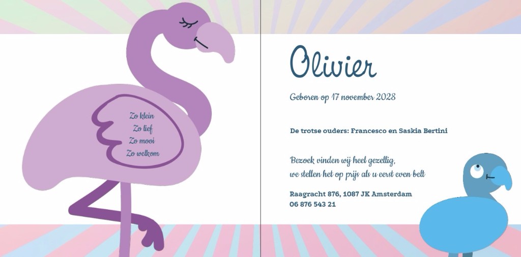 Gevouwen kaart "Flamingobaby blauw" Gevouwen kaart "Flamingobaby blauw"