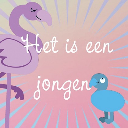 Gevouwen kaart "Flamingobaby blauw"