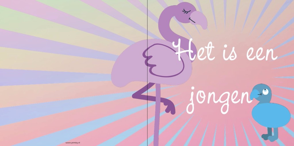 Gevouwen kaart "Flamingobaby blauw" Gevouwen kaart "Flamingobaby blauw"