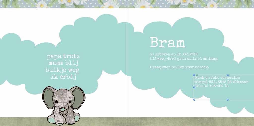 Gevouwen kaart "Olifantje in de wolken" Gevouwen kaart "Olifantje in de wolken"