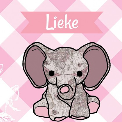 Gevouwen kaart "Olifant met rozen" Gevouwen kaart "Olifant met rozen"