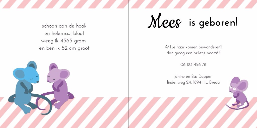 Gevouwen kaart met muis en hartje Gevouwen kaart met muis en hartje