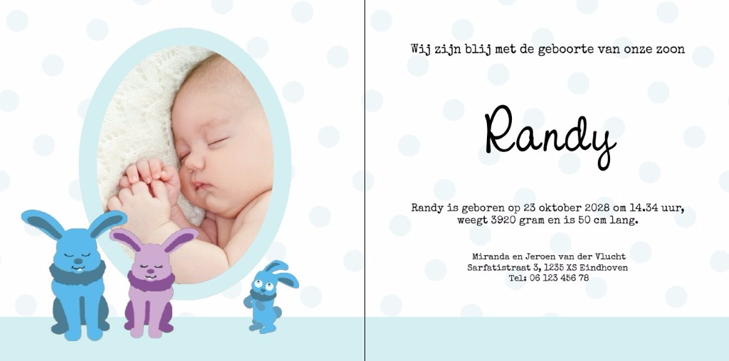 Gevouwen kaart "Konijntje" Gevouwen kaart "Konijntje"