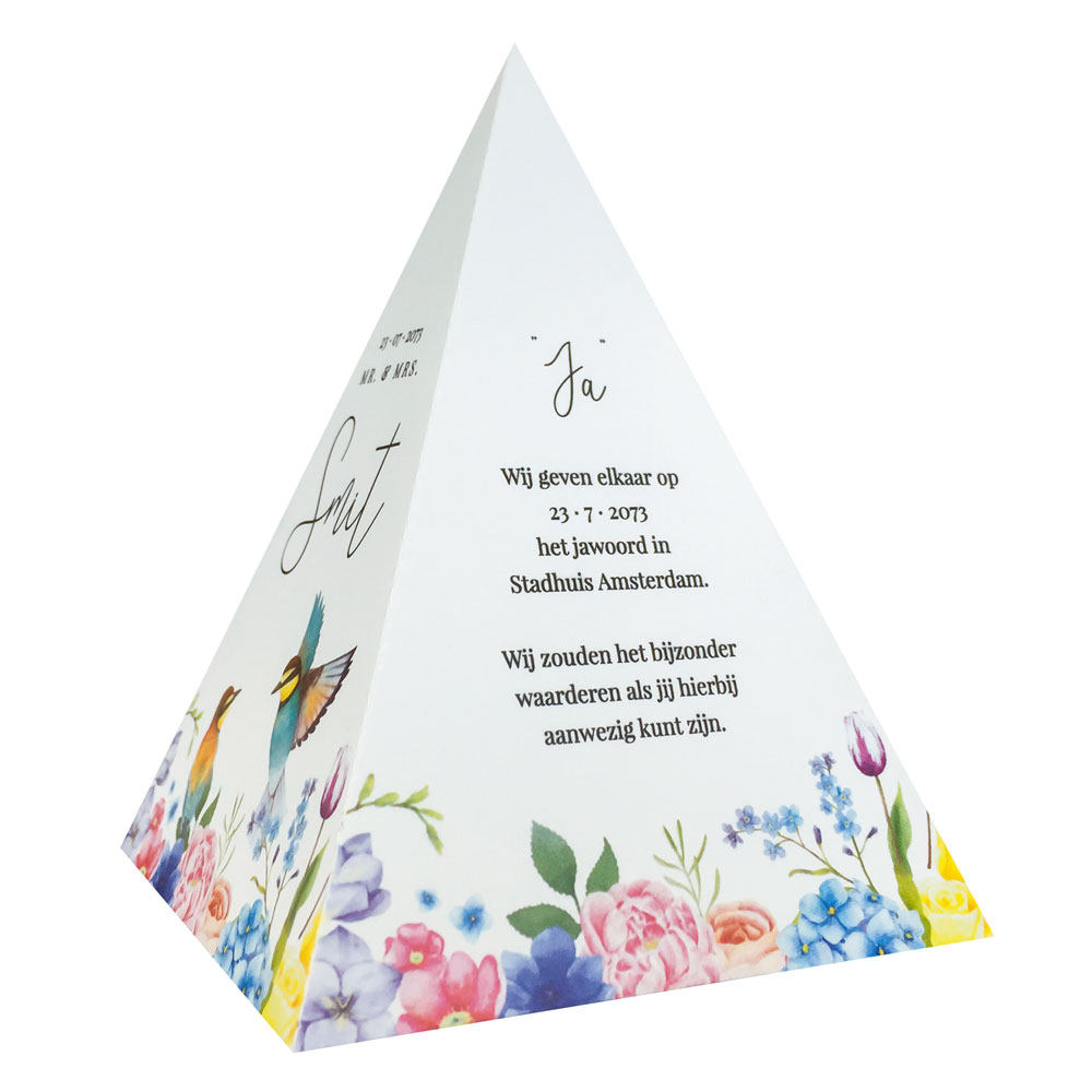 Tipi kaart kolibri Tipi kaart kolibri