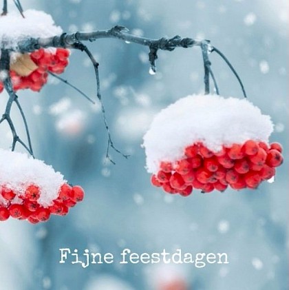 Gevouwen kerstkaart "Besjes" Gevouwen kerstkaart "Besjes"