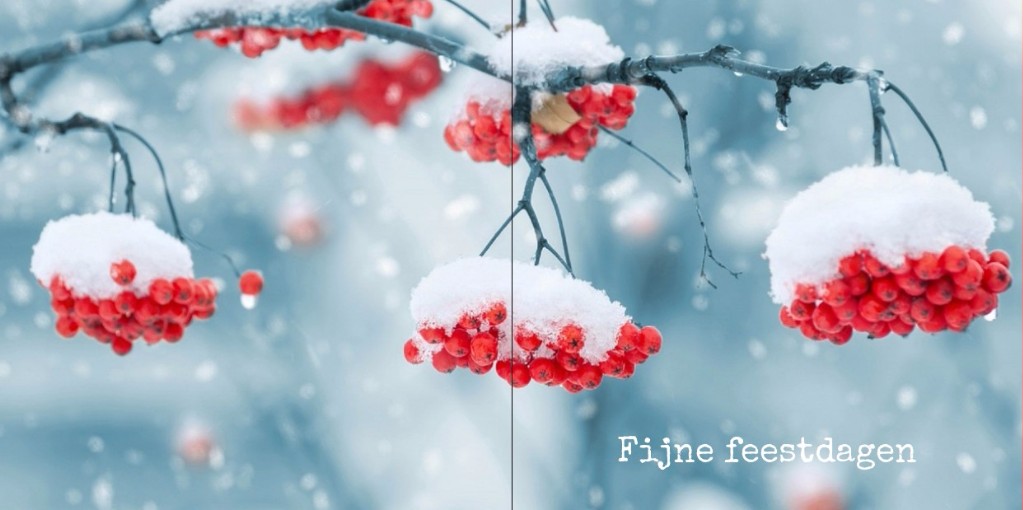 Gevouwen kerstkaart "Besjes" Gevouwen kerstkaart "Besjes"