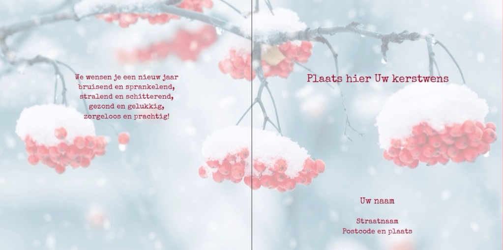 Gevouwen kerstkaart "Besjes" Gevouwen kerstkaart "Besjes"