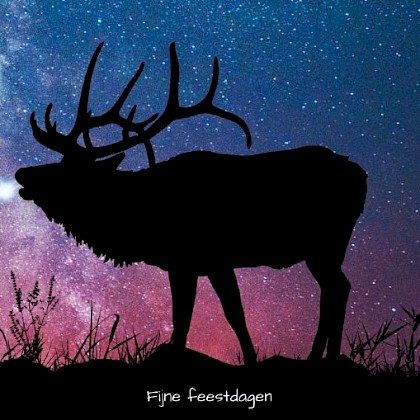 Gevouwen kerstkaart "Eland"