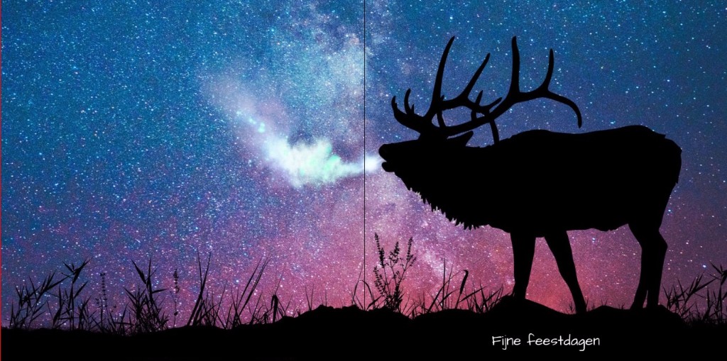 Gevouwen kerstkaart "Eland" Gevouwen kerstkaart "Eland"