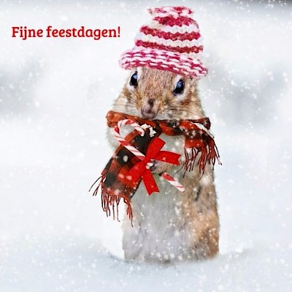 Gevouwen kerstkaart "Sneeuw muis"