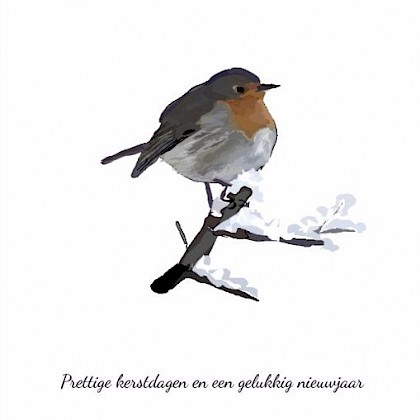 Gevouwen kerstkaart "Rood borstje"