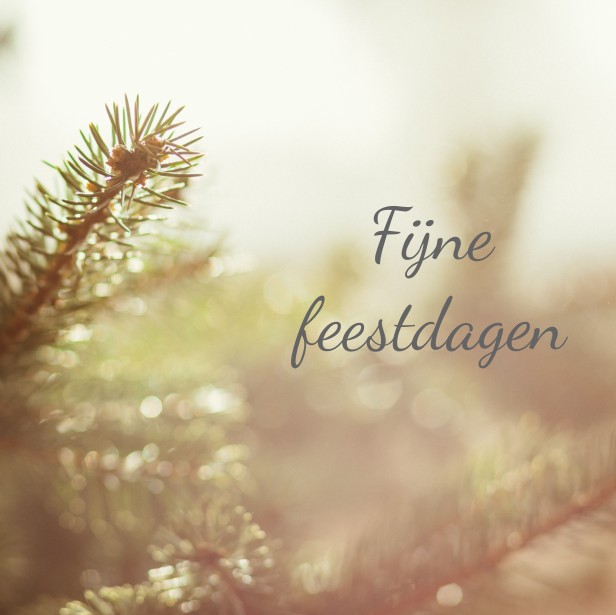 Kerstkaart "Dennengroen" Kerstkaart "Dennengroen"