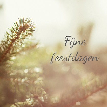 Kerstkaart "Dennengroen"