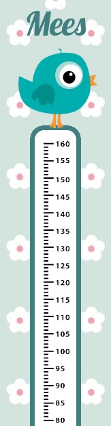 Groeimeter "Vogeltje blauw" Groeimeter "Vogeltje blauw"