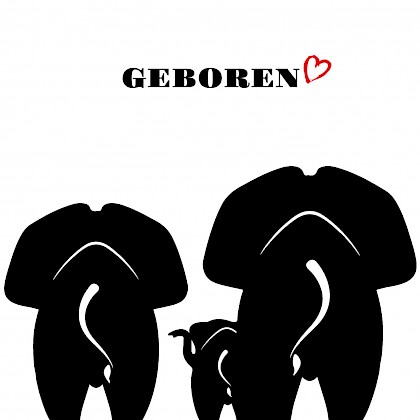 Gevouwen kaart "Olifantenfamilie"