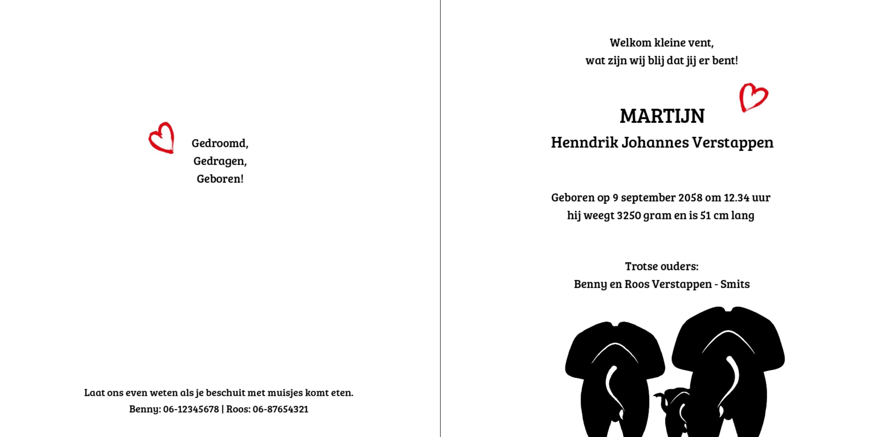 Gevouwen kaart "Olifantenfamilie" Gevouwen kaart "Olifantenfamilie"