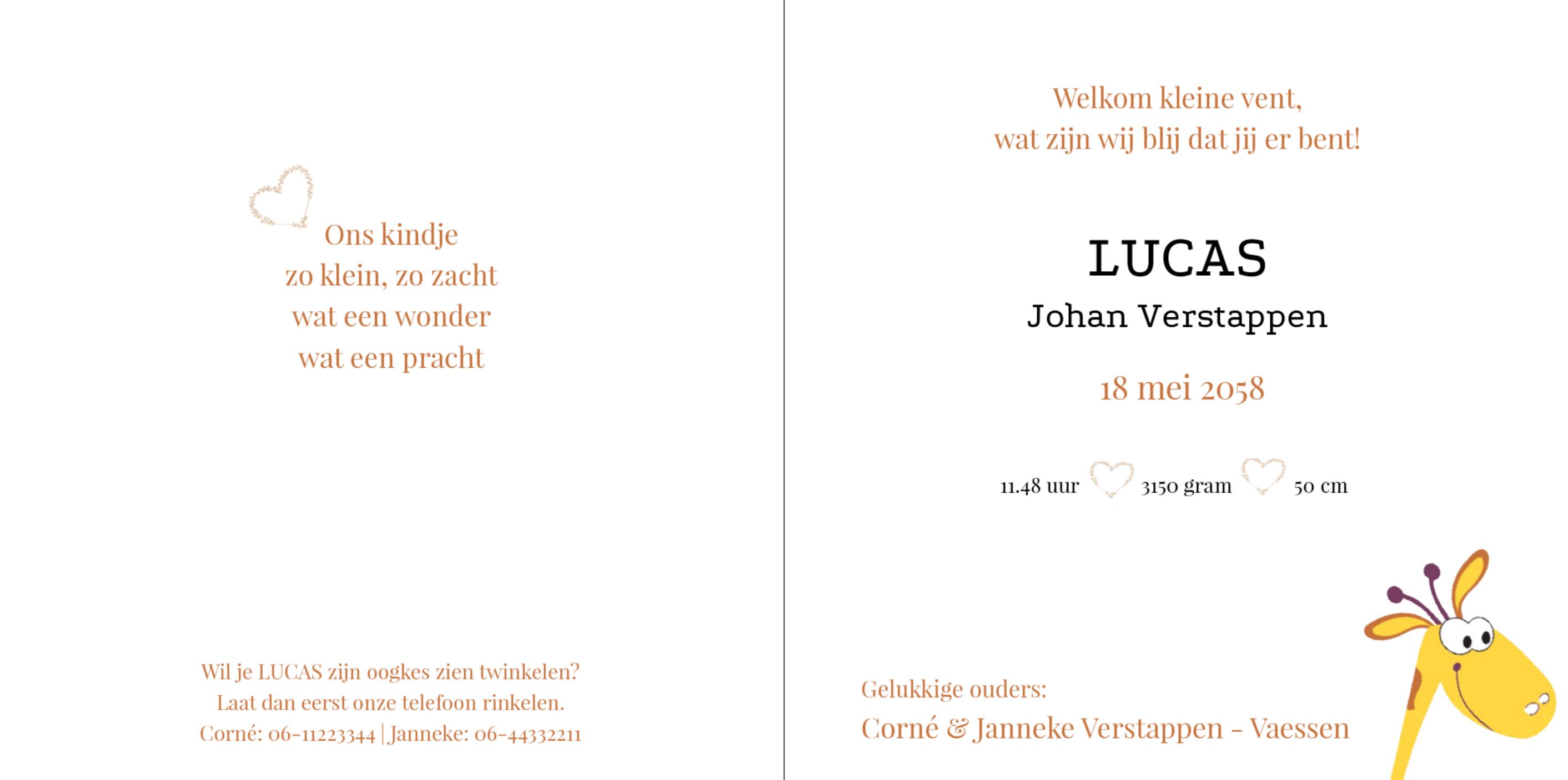 Kaartje met lieve giraffe Kaartje met lieve giraffe