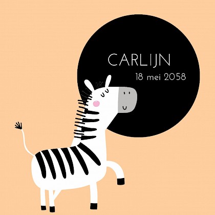 Kaartje met schattige zebra