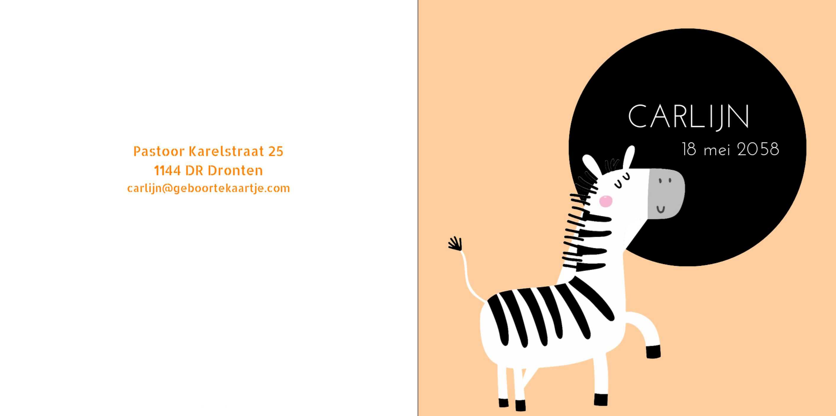 Kaartje met schattige zebra Kaartje met schattige zebra