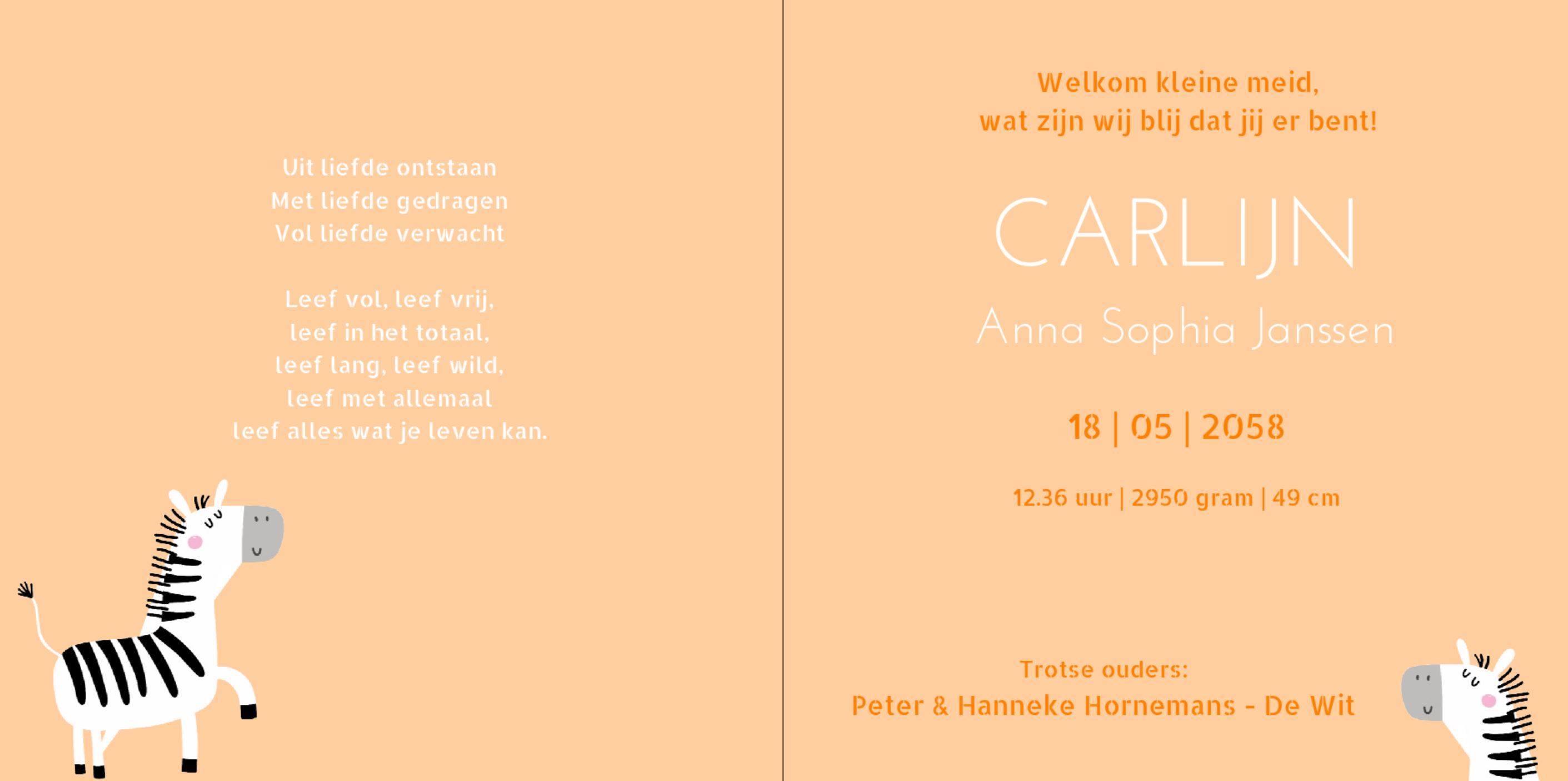 Kaartje met schattige zebra Kaartje met schattige zebra