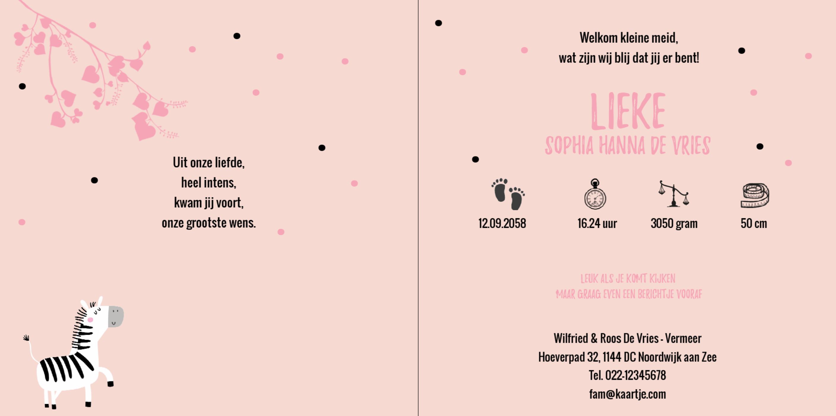 Kaartje met dansende zebra's Kaartje met dansende zebra's