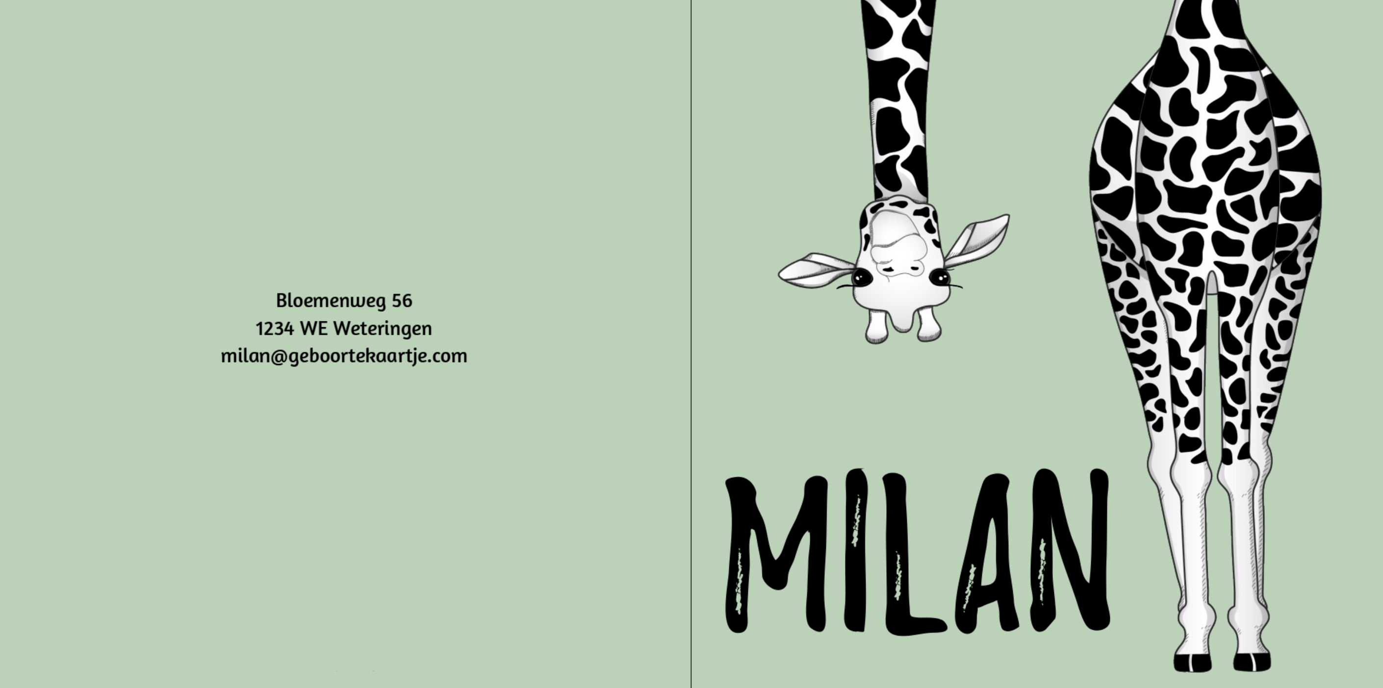 Kaartje met leuke giraffe Kaartje met leuke giraffe