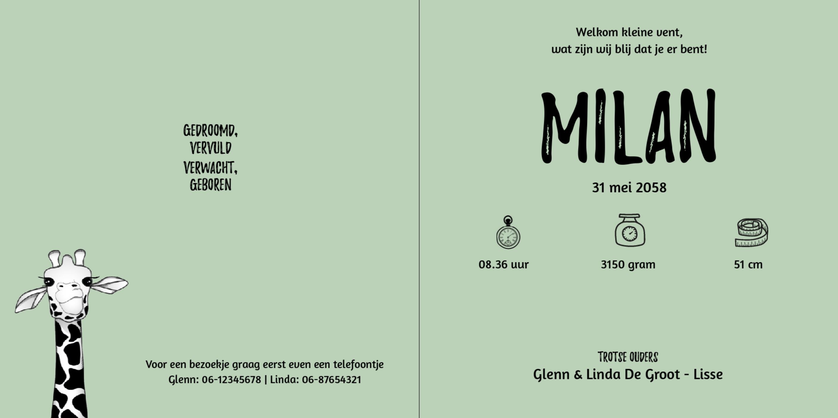 Kaartje met leuke giraffe Kaartje met leuke giraffe