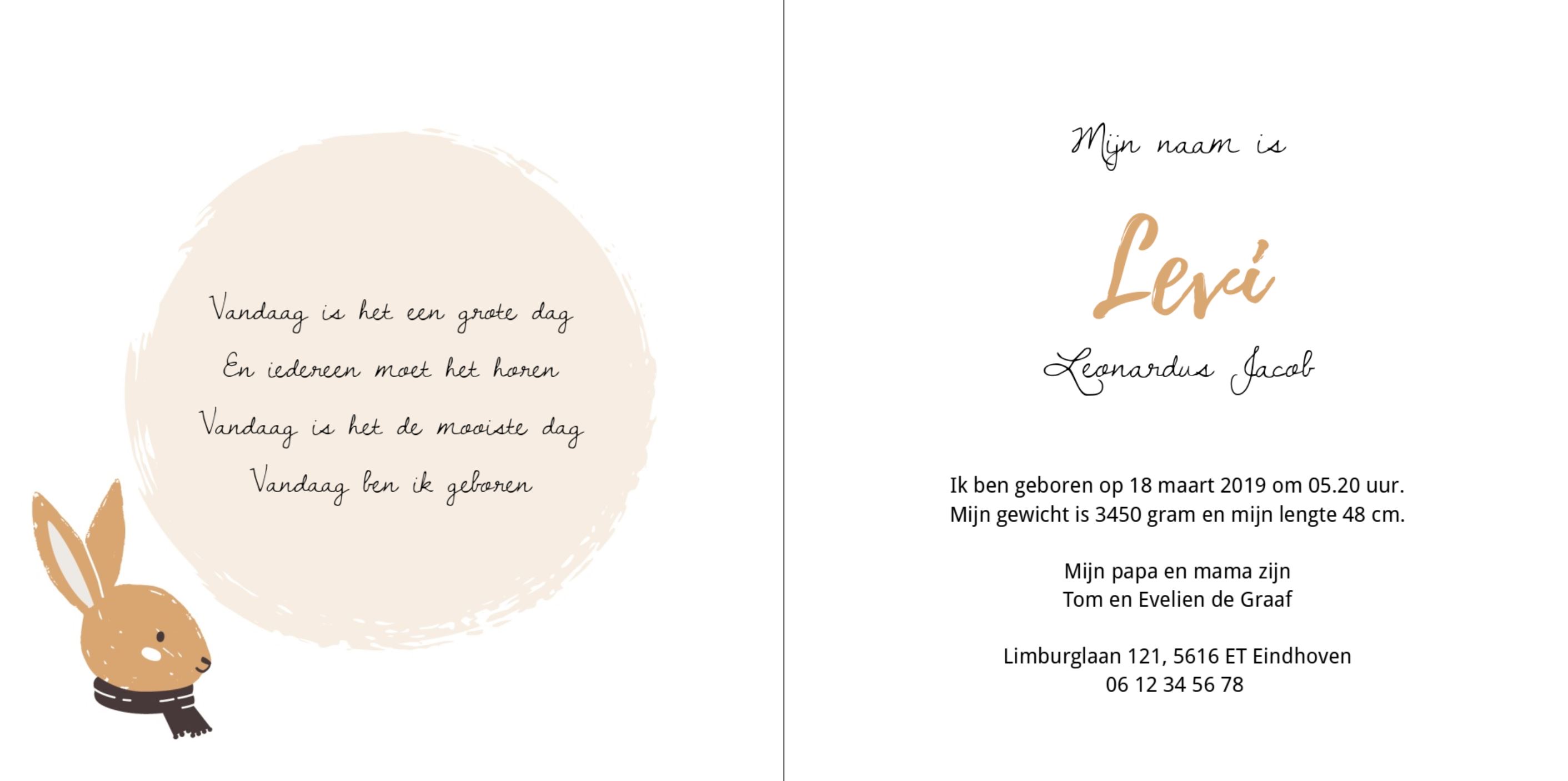 Hip konijntje Hip konijntje