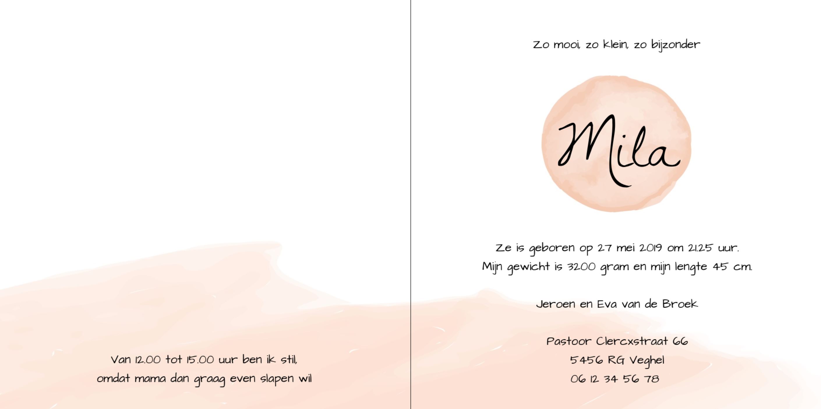 Pinguïn met ballon Pinguïn met ballon