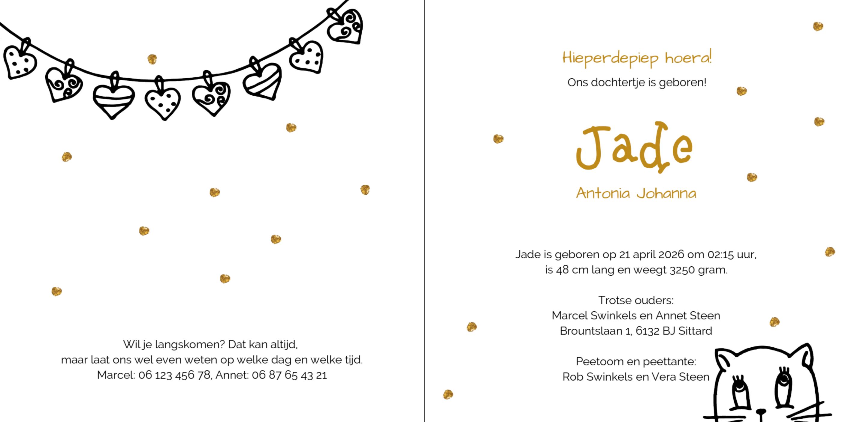 Kaartje met lief poesje Kaartje met lief poesje