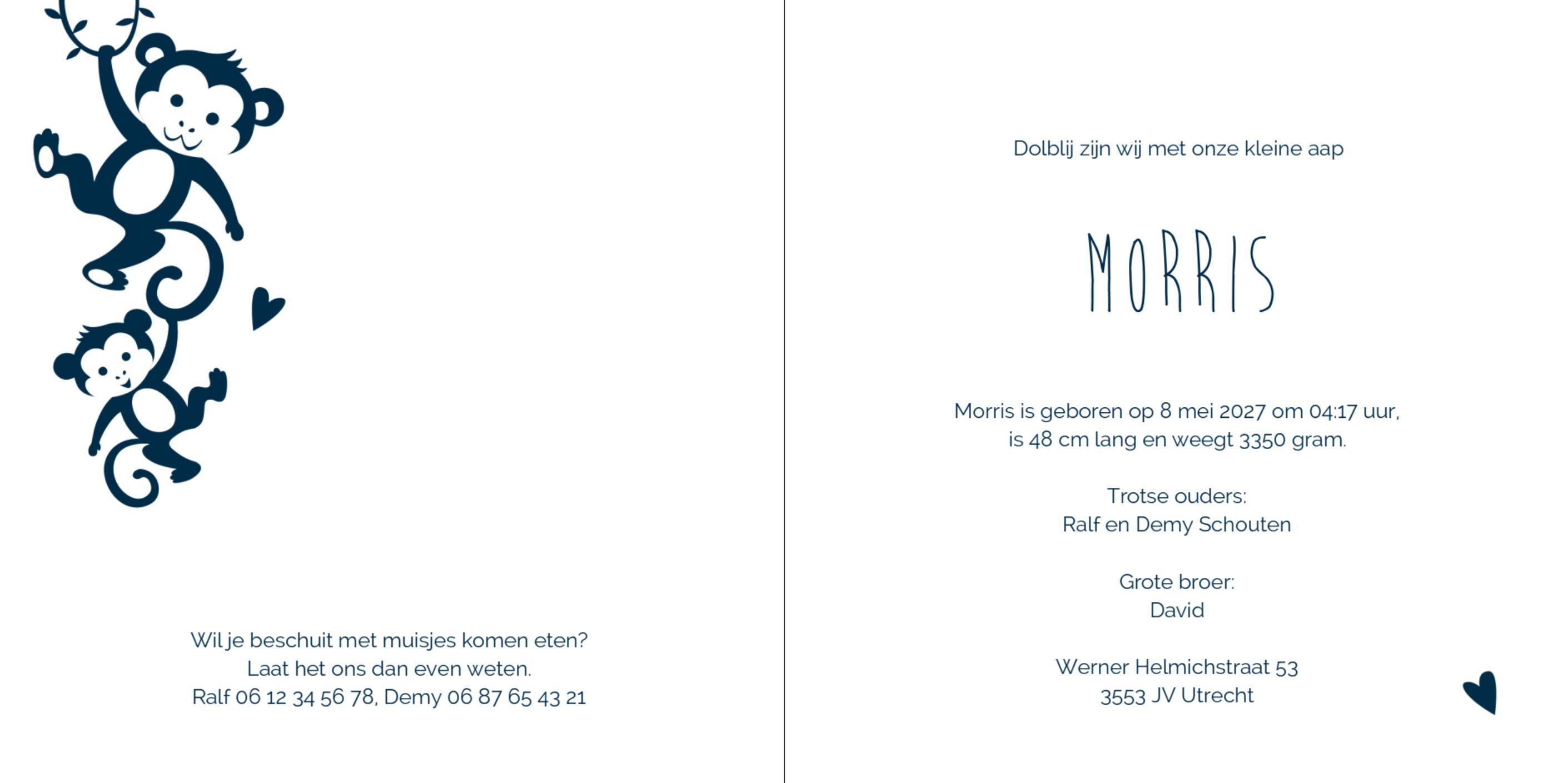 Kaartje met blauwe ondergrond en aapje Kaartje met blauwe ondergrond en aapje