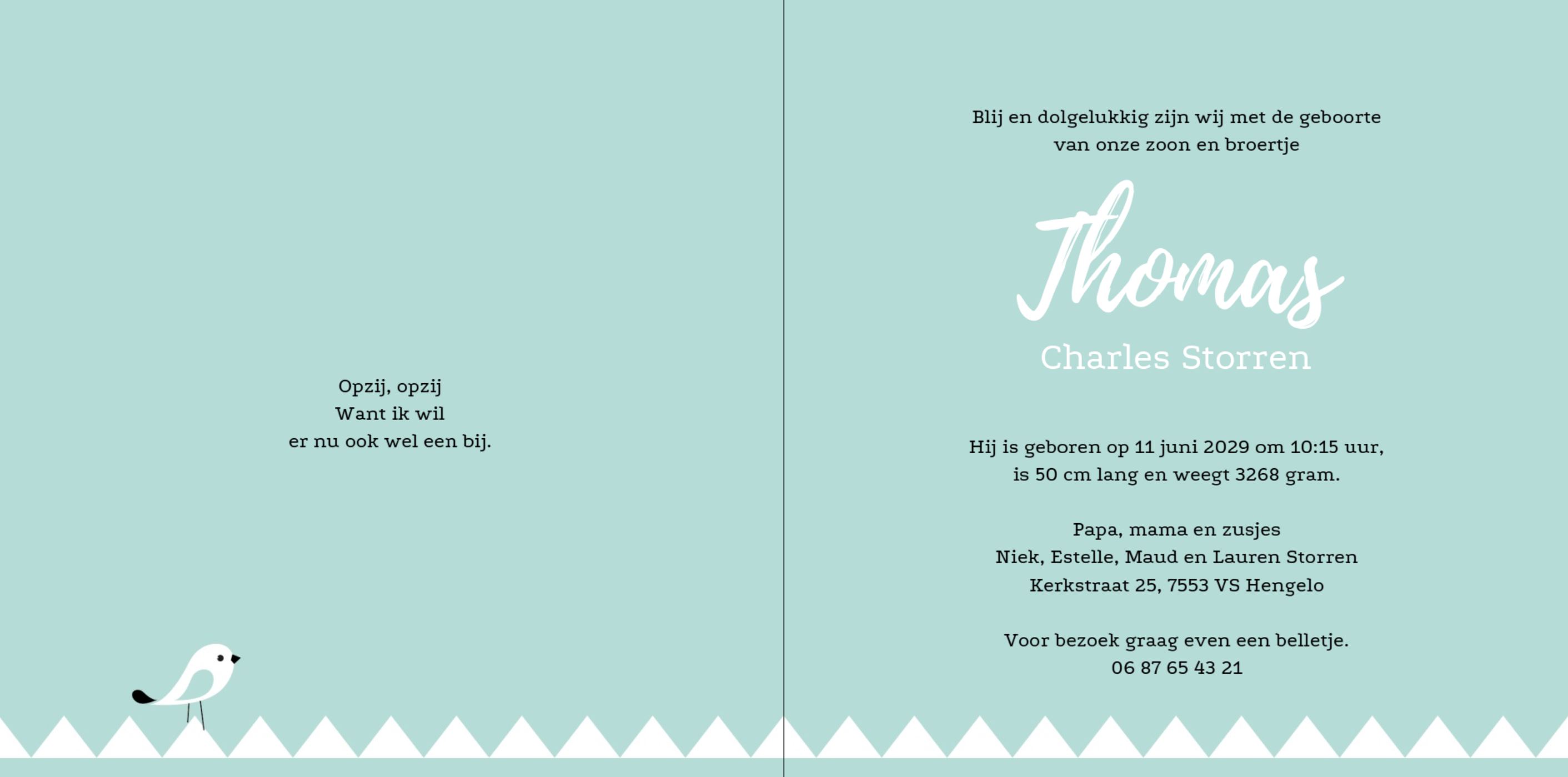 Kaartje een slinger en een vogeltje Kaartje een slinger en een vogeltje