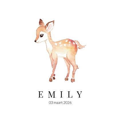 Geboortekaartje met een hertje en een konijntje