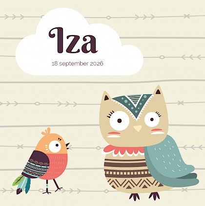 Geboortekaartje met een uiltje en een vogeltje Geboortekaartje met een uiltje en een vogeltje
