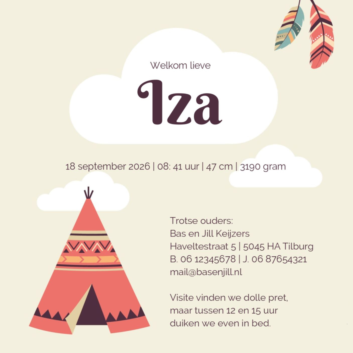 Geboortekaartje met een uiltje en een vogeltje Geboortekaartje met een uiltje en een vogeltje