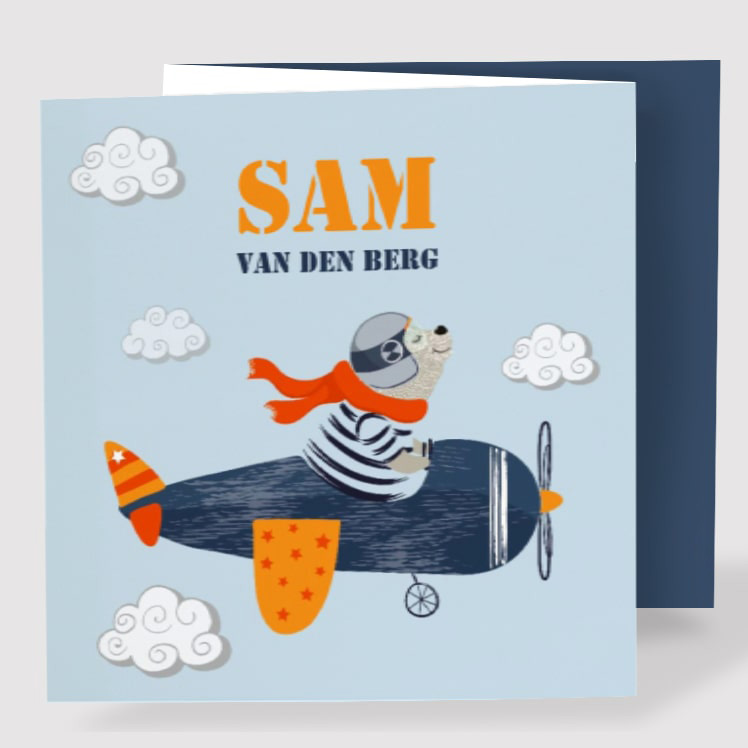 Drieluik met vliegtuig Drieluik met vliegtuig