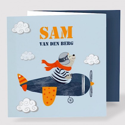 Drieluik met vliegtuig