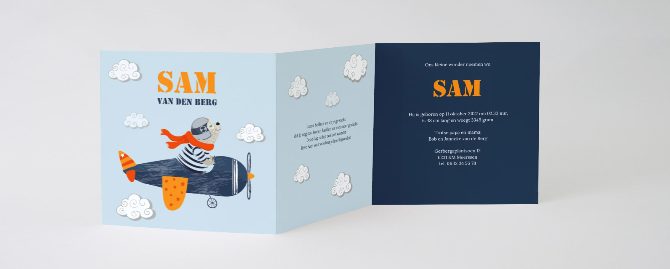 Drieluik met vliegtuig Drieluik met vliegtuig