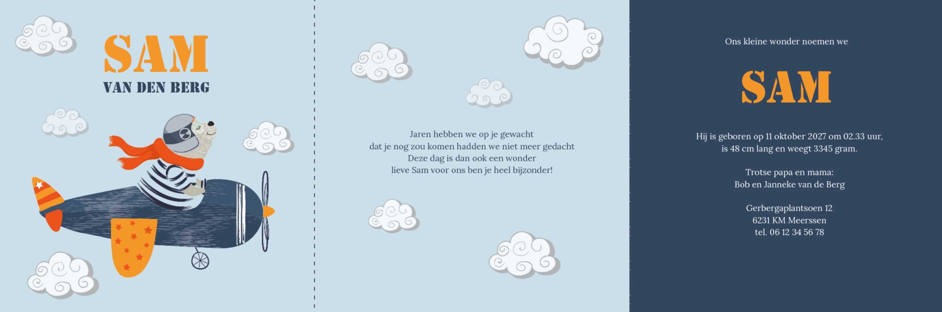 Drieluik met vliegtuig Drieluik met vliegtuig