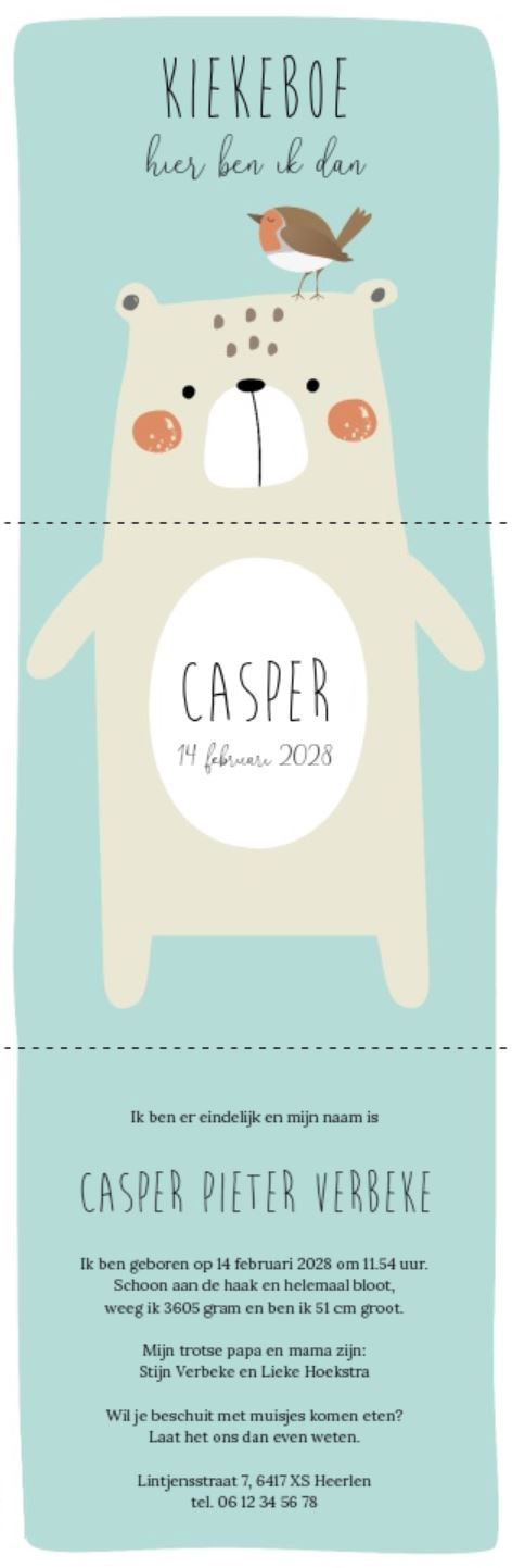 Drieluik kaart blauw met roodborstje en beertje Drieluik kaart blauw met roodborstje en beertje