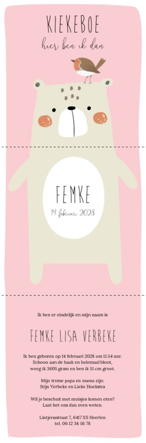 Drieluik kaart roze met roodborstje en beertje Drieluik kaart roze met roodborstje en beertje