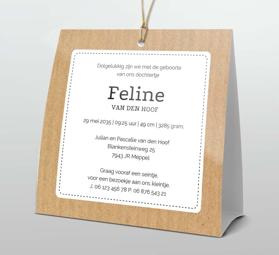 Staand geboortekaartje met panda en labeltje Staand geboortekaartje met panda en labeltje