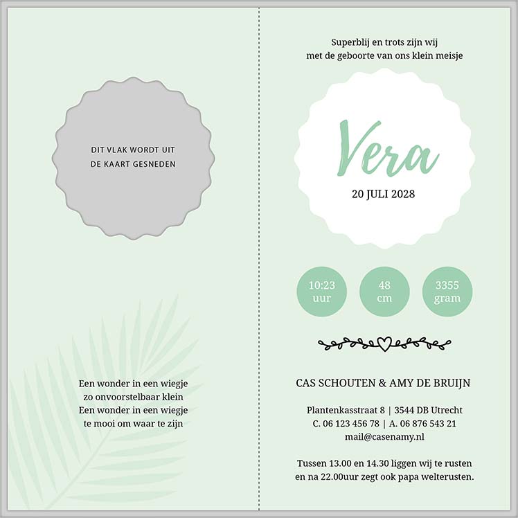 Geboortekaartje met bladeren en waterverf Geboortekaartje met bladeren en waterverf