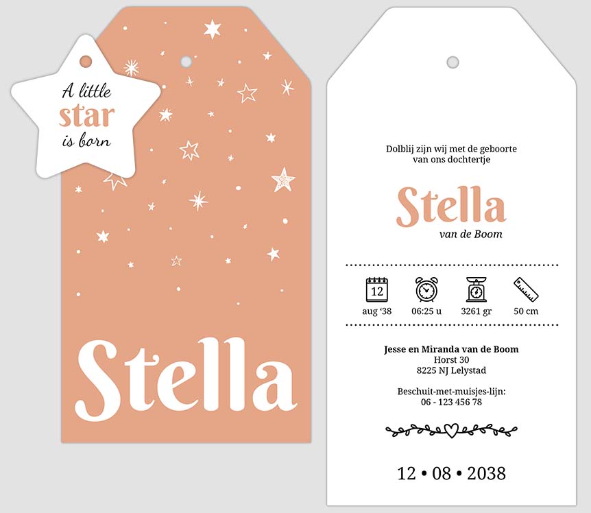 Labelkaartje met sterren Labelkaartje met sterren