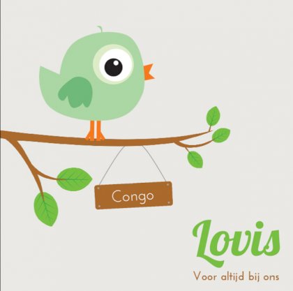 Gevouwen adoptiekaart "Groen vogeltje"