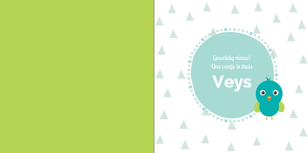 Gevouwen adoptiekaart "Driehoekje blauw" Gevouwen adoptiekaart "Driehoekje blauw"