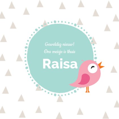 Adoptiekaartje "Driehoekjes en vogel" Adoptiekaartje "Driehoekjes en vogel"